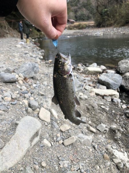 激寒の管理釣り場