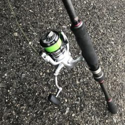 朝マズメのカマス釣り