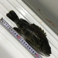 またあなたか〜