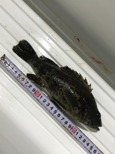 またあなたか〜