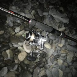 フロートアジングで尺アジGET