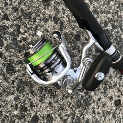 朝マズメのカマス釣り