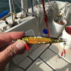 元旦初釣り!活性高し!!