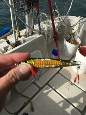 元旦初釣り!活性高し!!