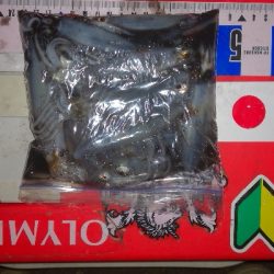 アジング練習360 ライトエギング