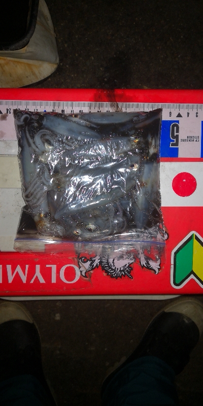 アジング練習360 ライトエギング