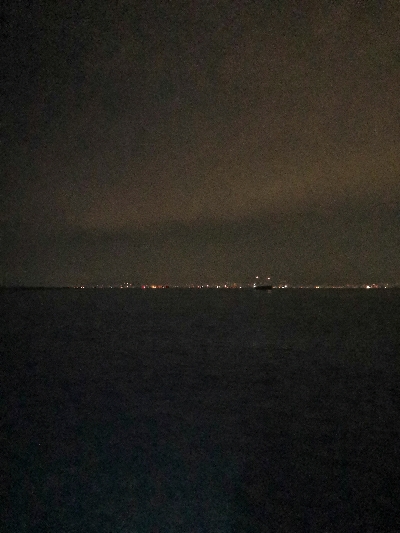 初釣りはロックフィッシング