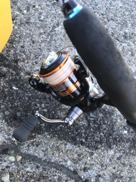 ライトワインドでガシラGET