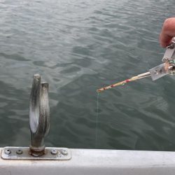 入鹿池でワカサギ釣り