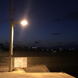 タケノコメバル初めて