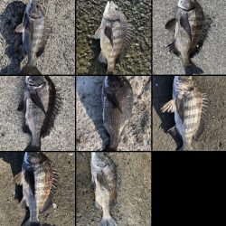 イチノ兄弟、釣果!