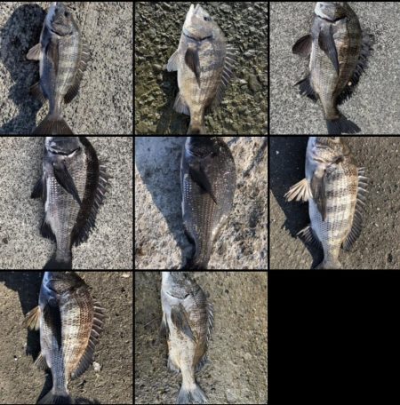 イチノ兄弟、釣果!