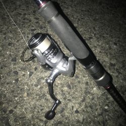 夕マズメのフロートアジング