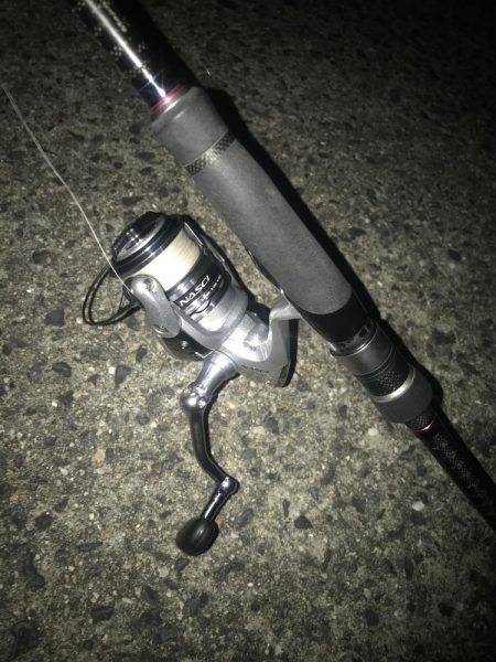 夕マズメのフロートアジング