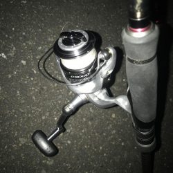 朝マズメのカマス釣り