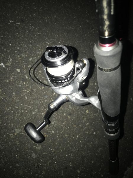 朝マズメのカマス釣り