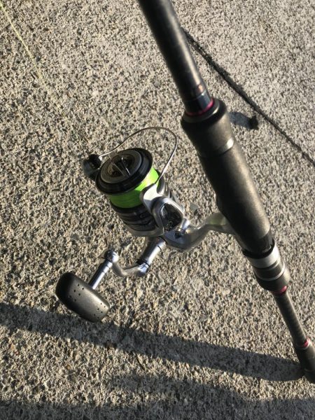 朝マズメのカマス釣り