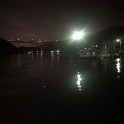 100均ルアーが釣れる理由