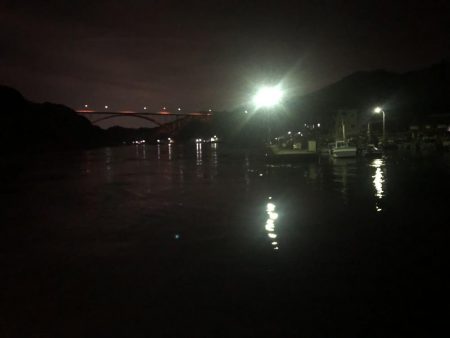 100均ルアーが釣れる理由