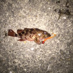 バイク釣行は修行です