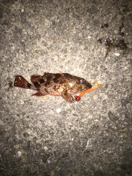 バイク釣行は修行です