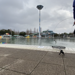 雪の舞う中エリアトラウト