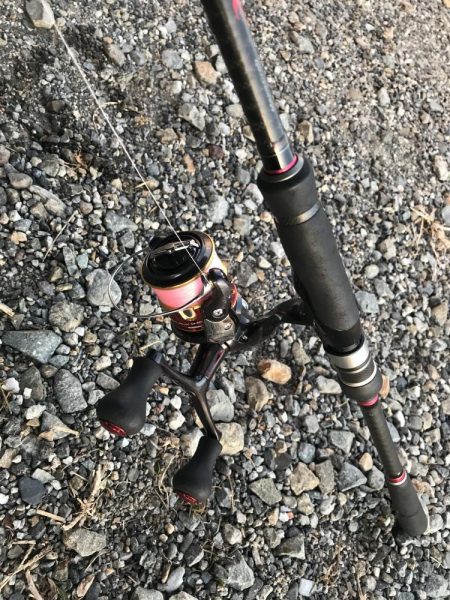 続、朝マズメのカマス釣り