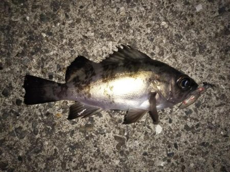 クリア レッドFlk.カラー大当たり