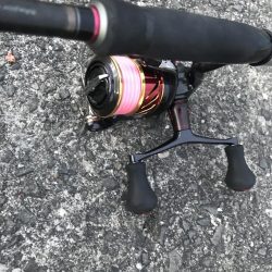 夕マズメのガシラゲーム