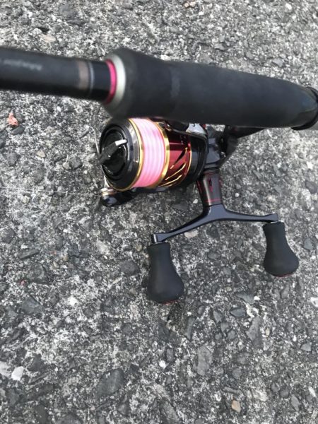 夕マズメのガシラゲーム