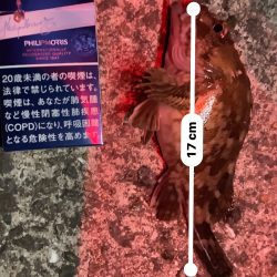 ガシリング 自己記録更新