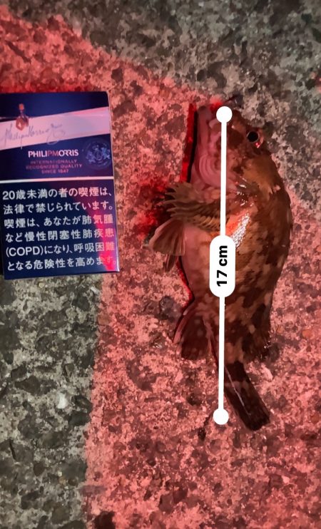 ガシリング 自己記録更新