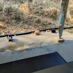 2022年初釣りは息子と楽しい管釣り！