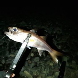 フロートゲーム～