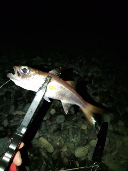 フロートゲーム～