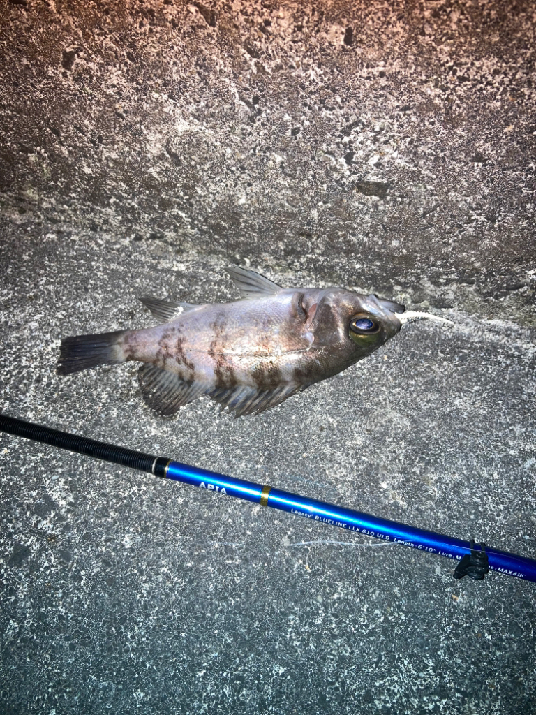 ウォーキングフィッシング