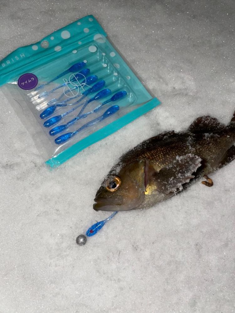 寒い時こそライトゲーム