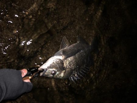 あたりはあるが