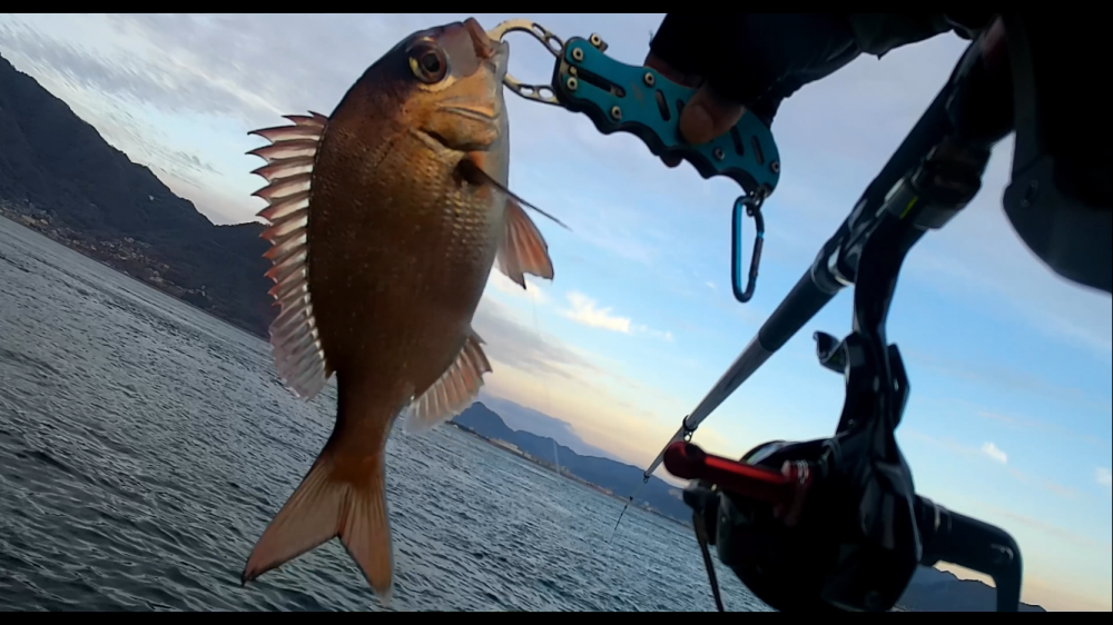今年初激寒フカセ