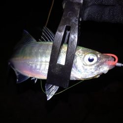 病院が早く終わったので…