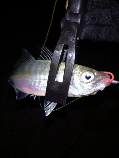 病院が早く終わったので…