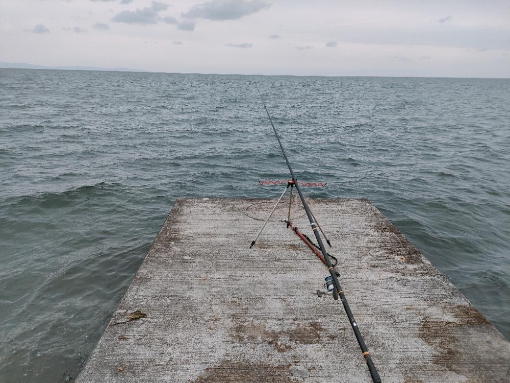 この時期はガシラぐらいですね