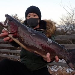 フィッシングレイクたかみや 釣果
