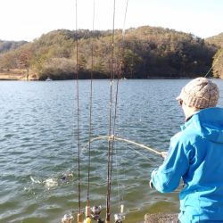 フィッシングレイクたかみや 釣果