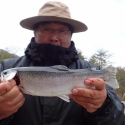 フィッシングレイクたかみや 釣果