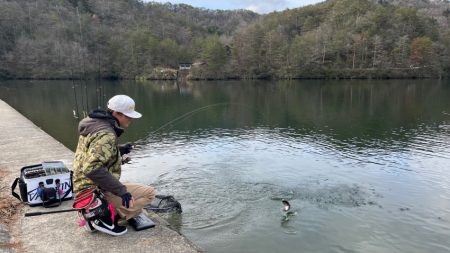 フィッシングレイクたかみや 釣果