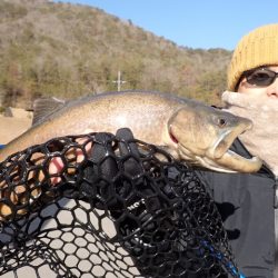 フィッシングレイクたかみや 釣果