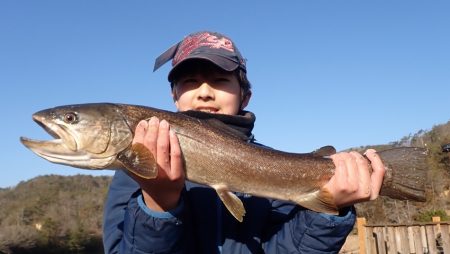フィッシングレイクたかみや 釣果