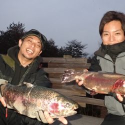 フィッシングレイクたかみや 釣果