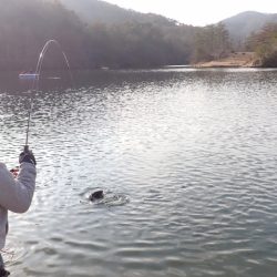 フィッシングレイクたかみや 釣果